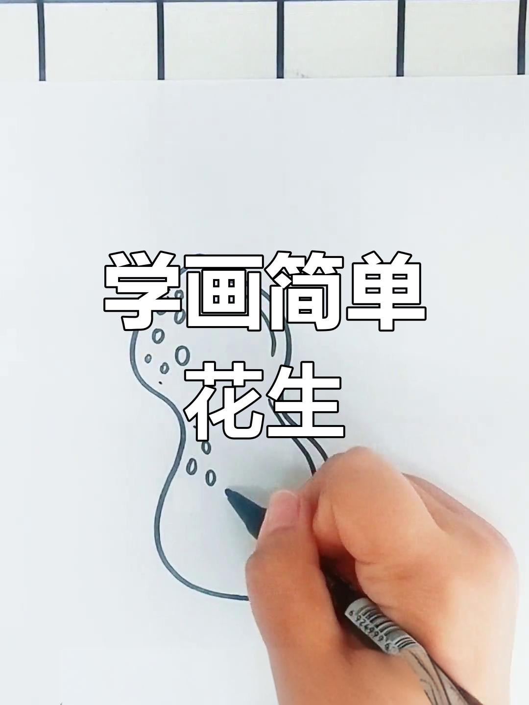 花生简笔画法图片