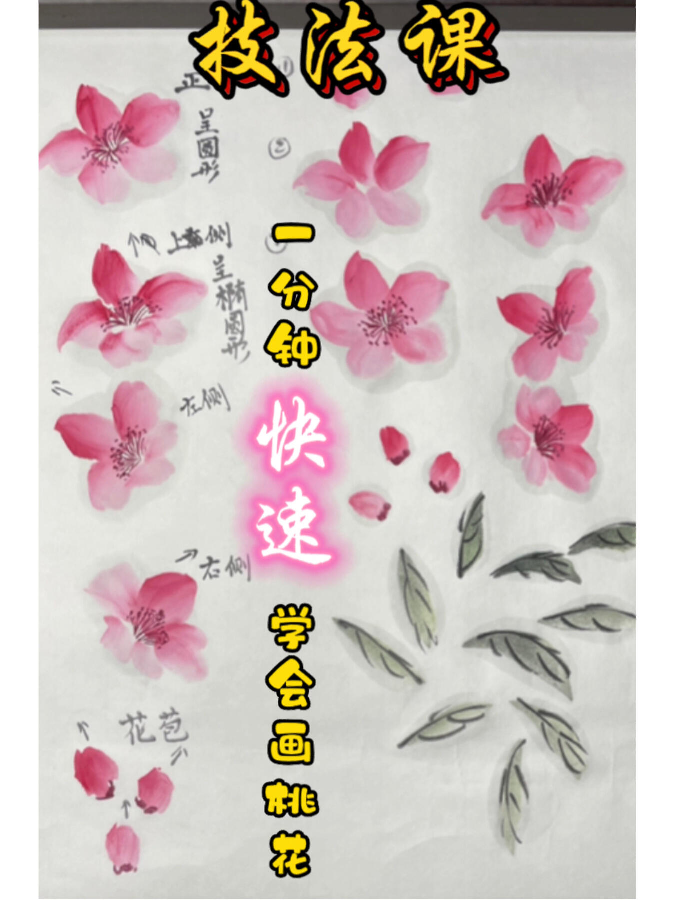 零基础技法课 一分钟快速学会画桃花