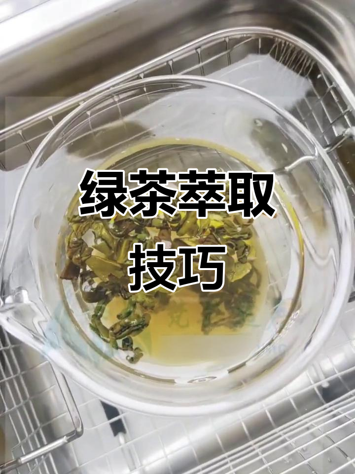 绿茶萃取:如何提取茶叶中的精华