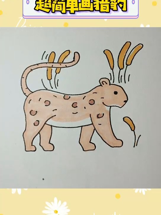超简单画猎豹