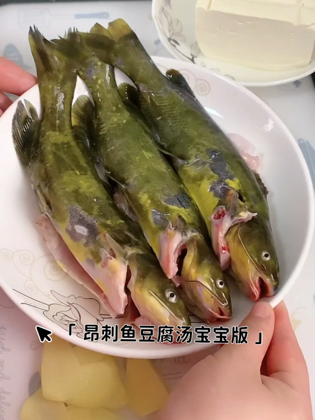 昂刺鱼汤 黄辣丁鱼汤～汤鲜味美