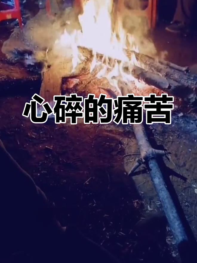 悲痛欲绝,心如刀割