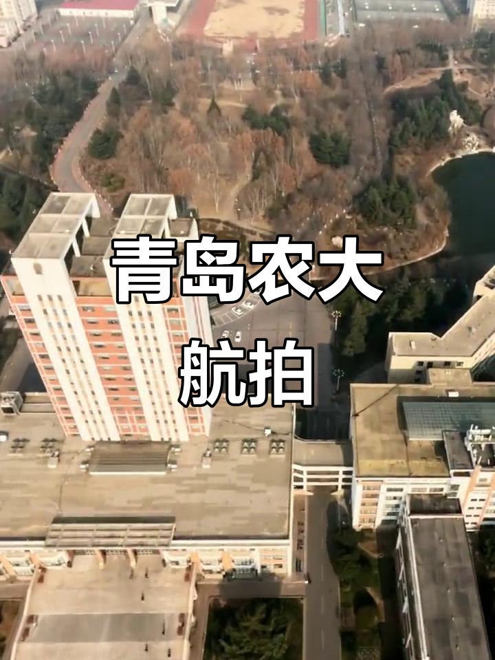 青岛农业大学全景航拍,飞跃校园感受魅力