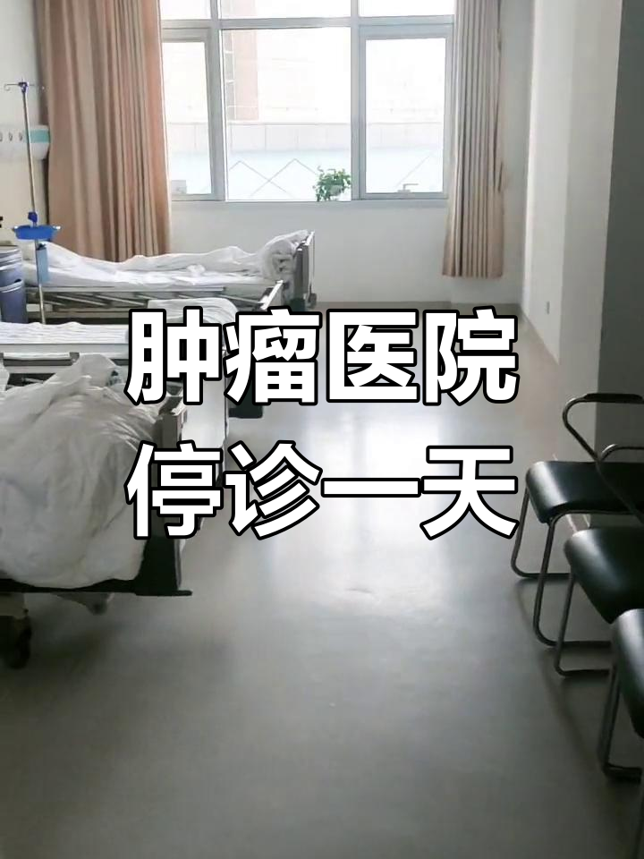 包含中国医学科学院肿瘤医院、朝阳区多年在用的黄牛挂号助手，办事特别稳妥的词条
