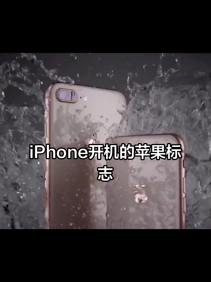 iphone开机的苹果标志