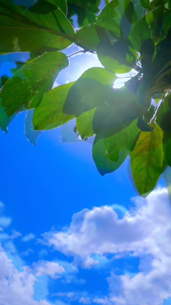 生活处处是风景 祝刷到的朋友开心快乐每一天 治愈系风景