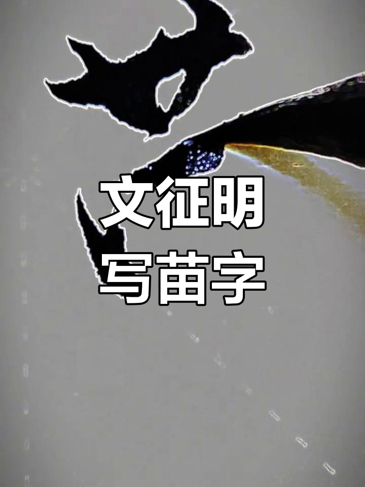 苗字行书,文征明亲笔书写展示