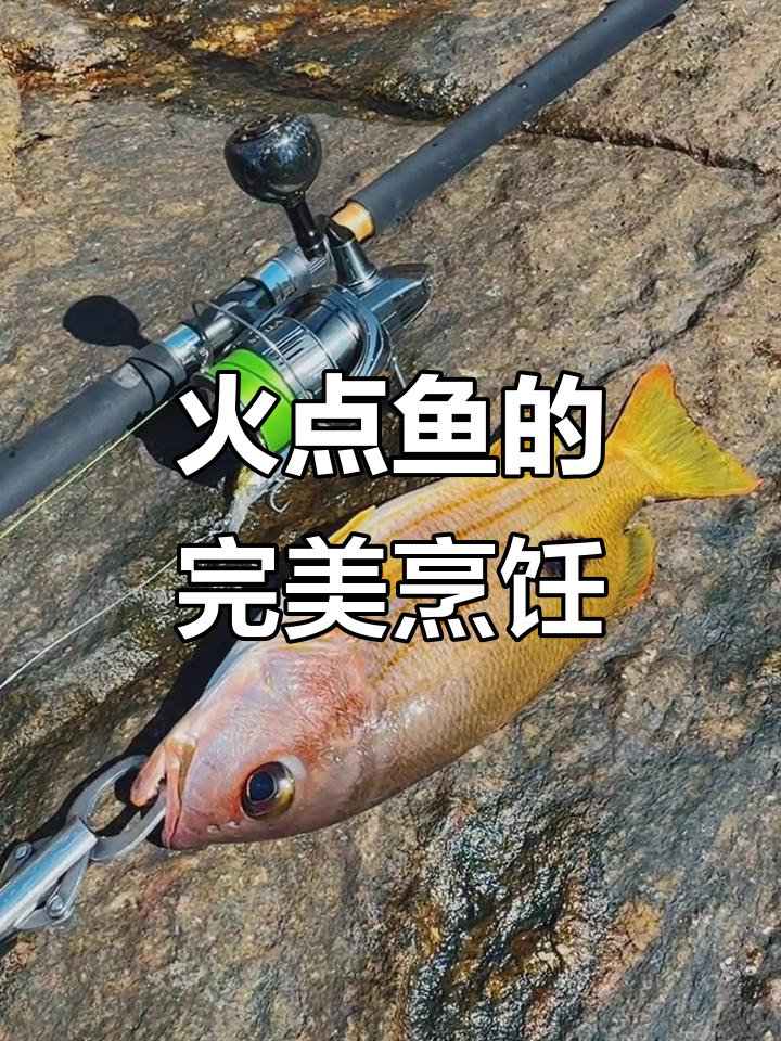 两斤火点鱼,清蒸7分钟,口感媲美石斑