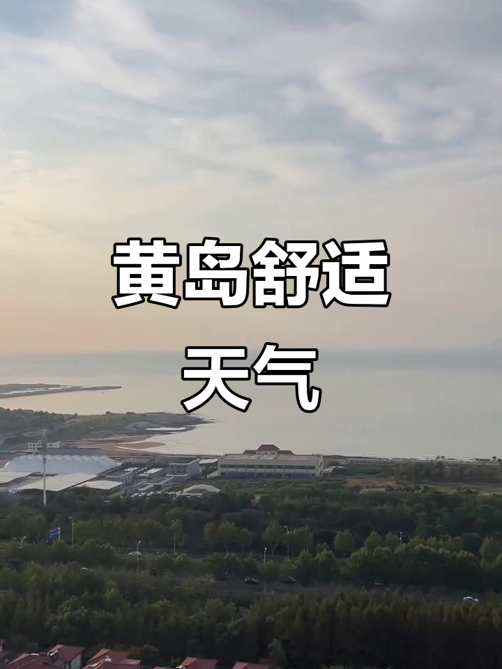 西海岸天气