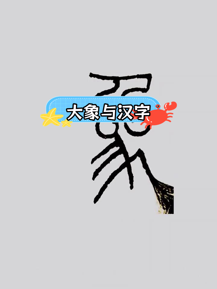 象形字与大象的奇妙联系