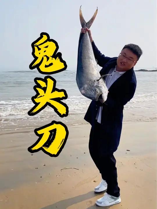 到日照海边旅游赶海