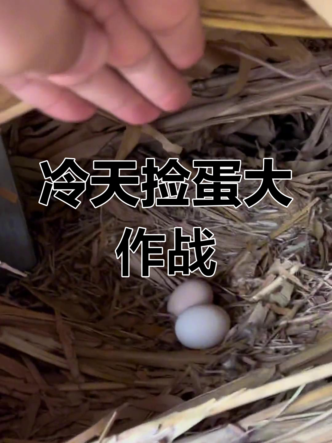 捡天气