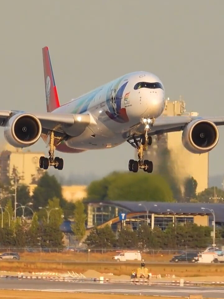 一起欣赏 四川航空a359墨镜侠