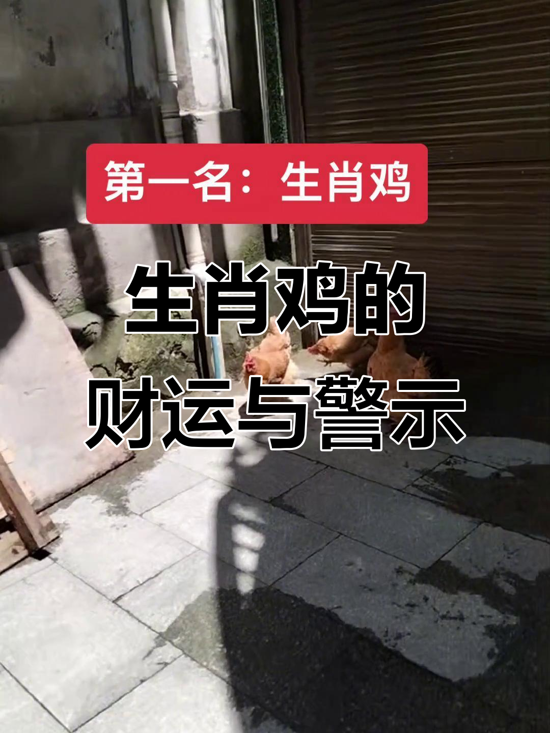 生肖鸡2025六月运势(生肖鸡2025六月运势详解)