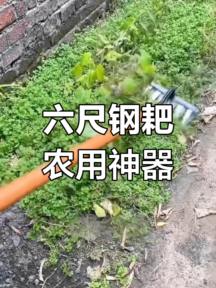 六个尺钢耙,结实耐用,农田必备好工具