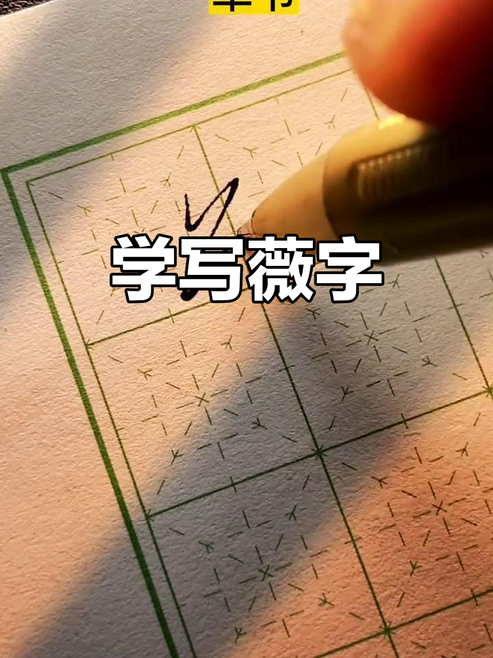 每天学一个字:从楷到草,轻松掌握"薇"字的三种写法