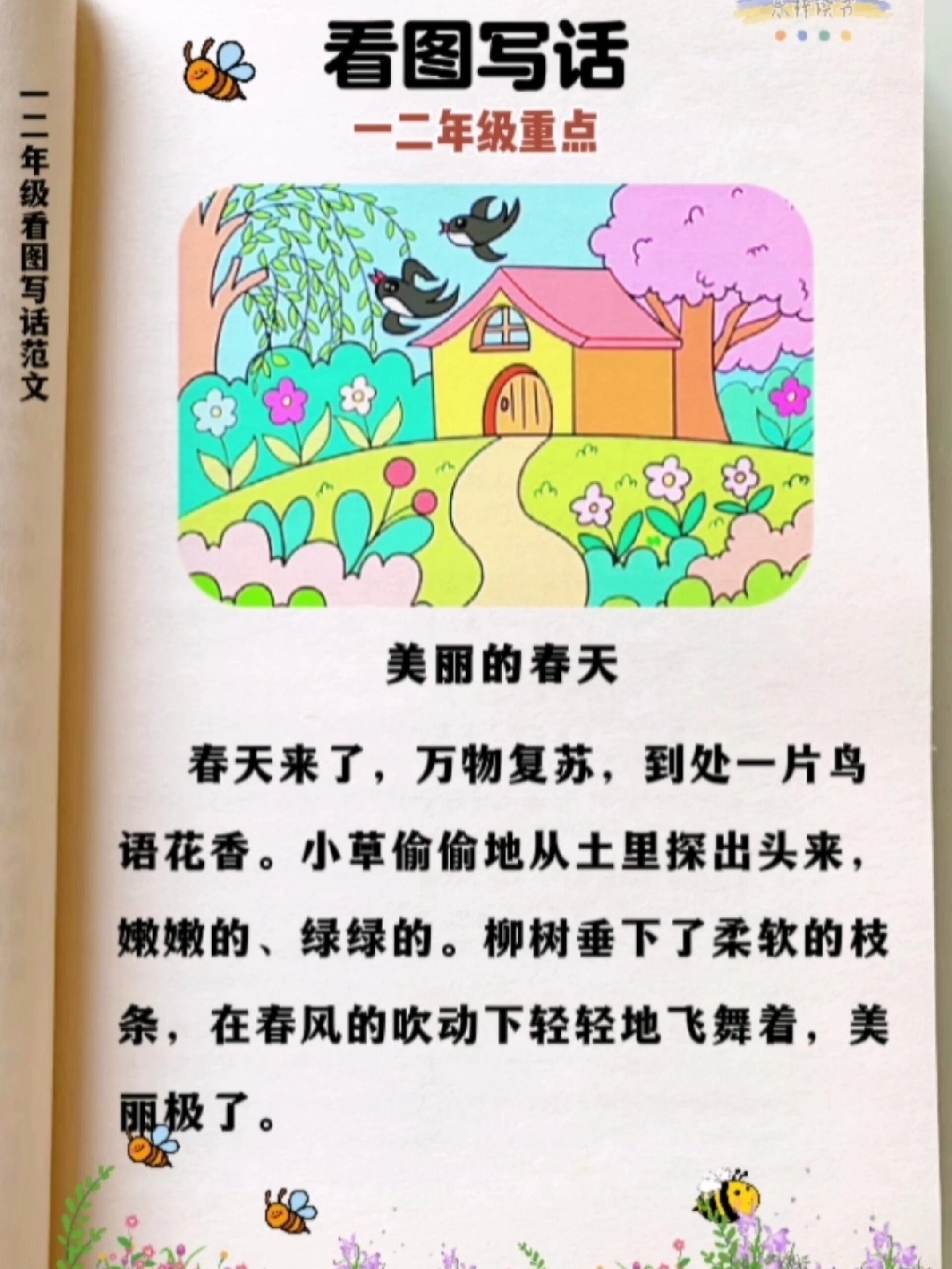 看图写话范文《美丽的春天》