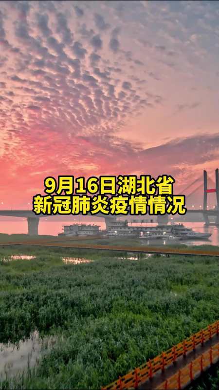 2022年9月16日湖北省新冠肺炎疫情情况最新疫情通报