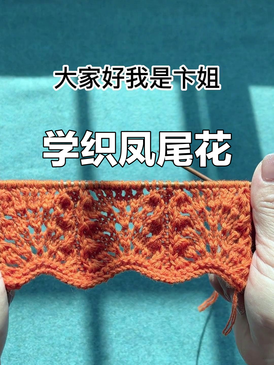 凤尾花编织教程,简单又好看!