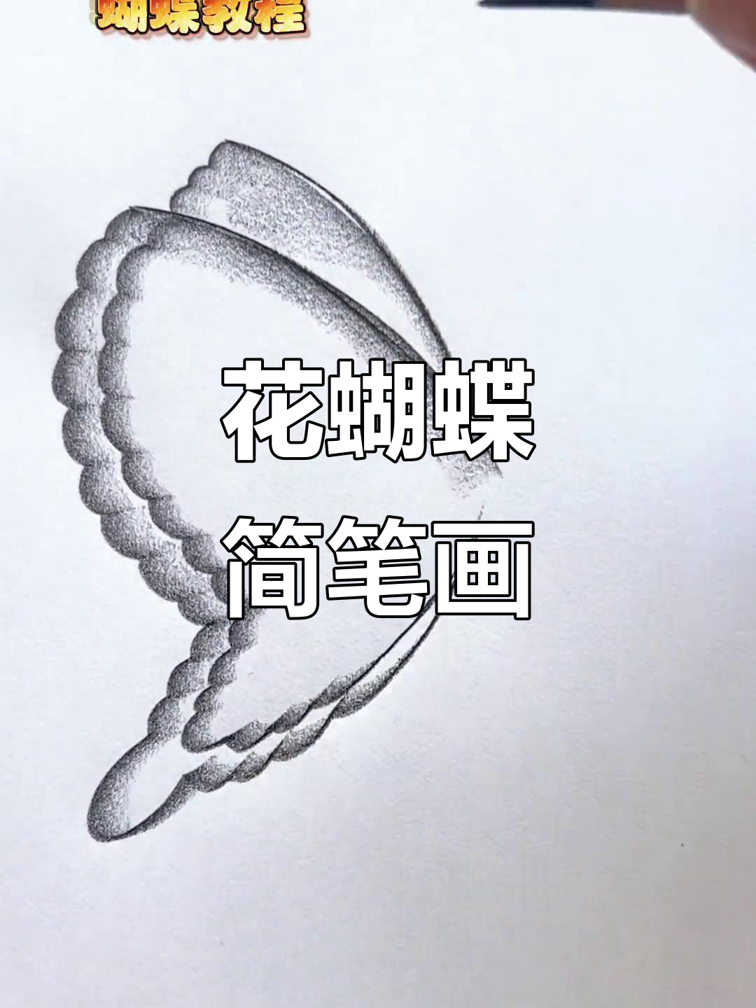 零基础学画花蝴蝶,简单又有趣