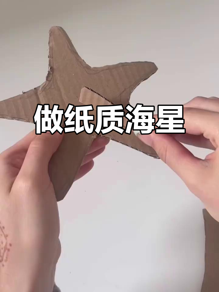 100种自然手工制作:纸质海星教程