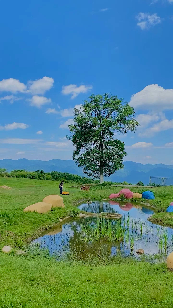 北碚西山坪桃花山图片