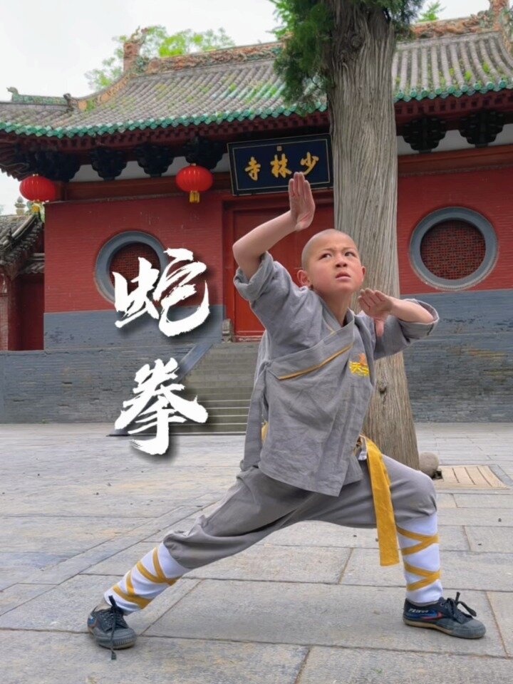 少林功夫─蛇拳