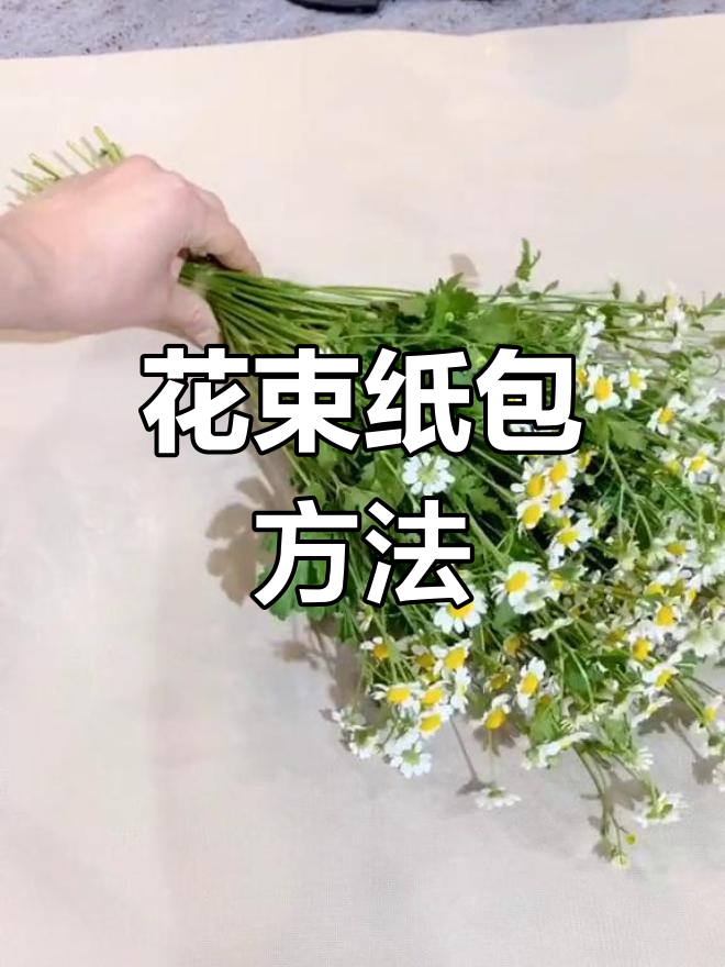 如何包花束图解步骤图片