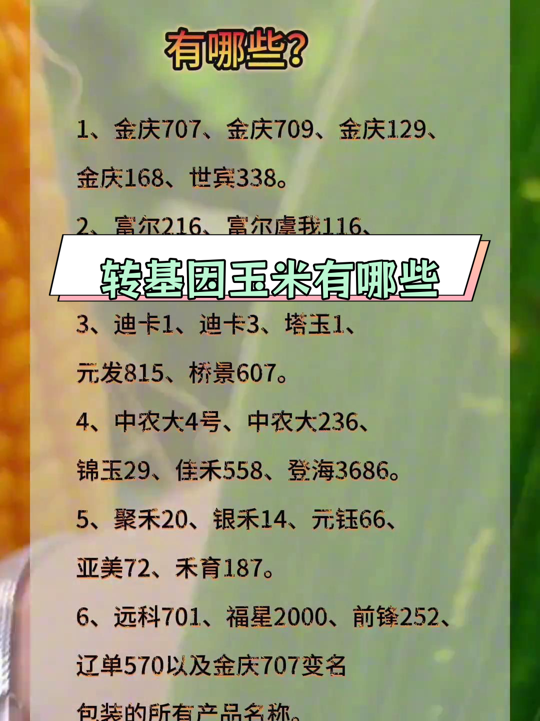 转基因玉米品种解析