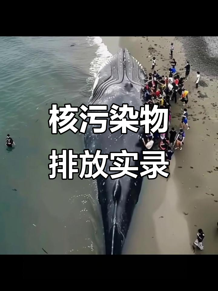 日本核污水排放后的惊人画面,污染扩散令人震惊