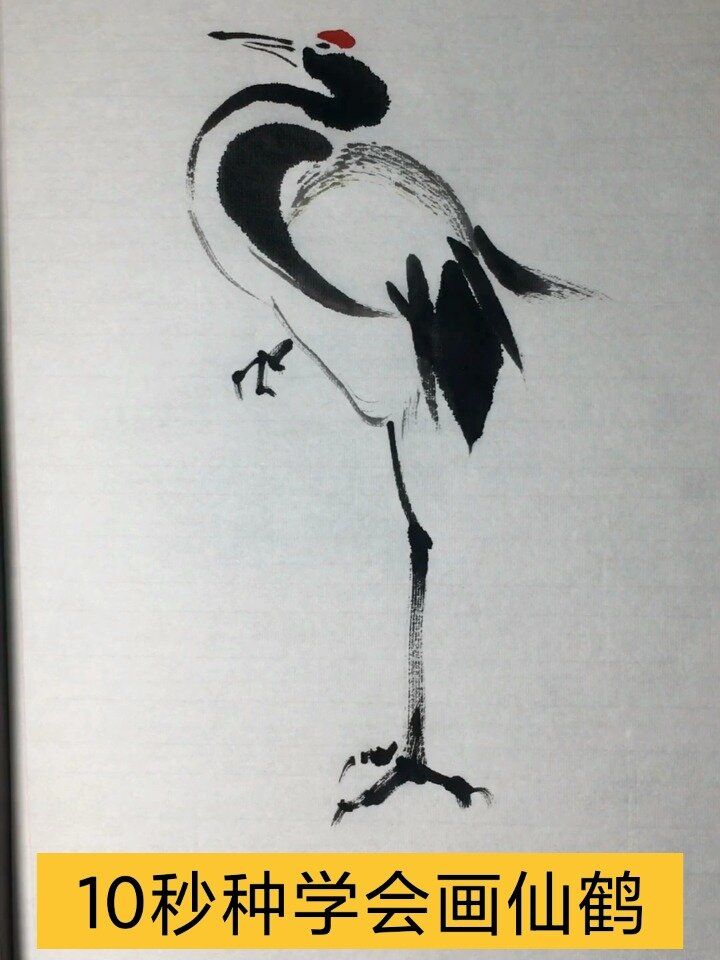 零基础学画画,简笔画 花鸟画 山水画