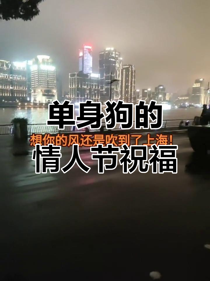 情人节快乐!单身狗也能开心过节日