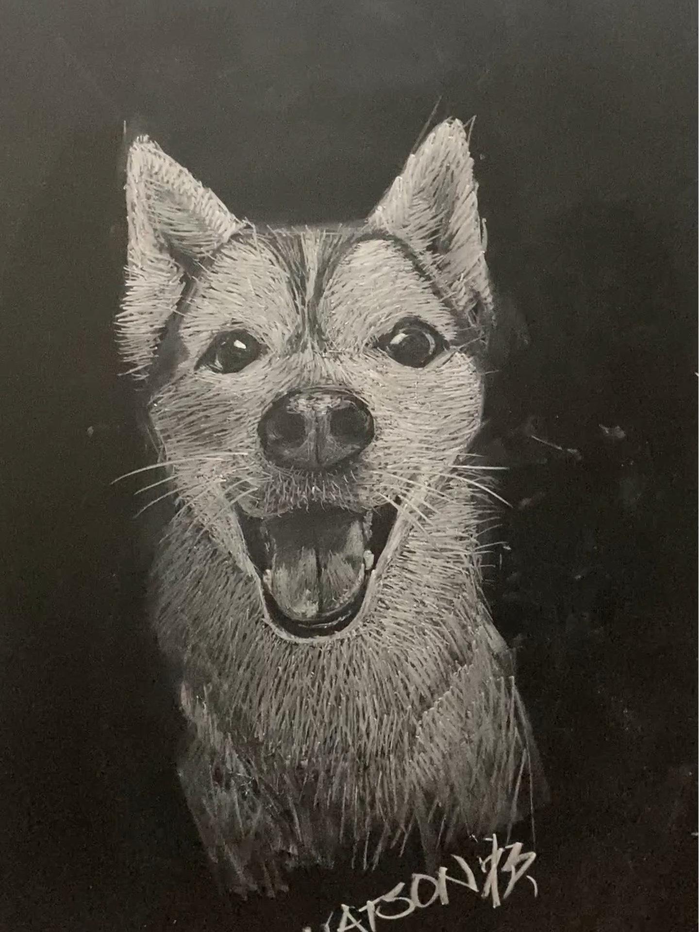 都来看这是粉笔作画的天花板吧素描动物一起学画画黑板画狗狗画法