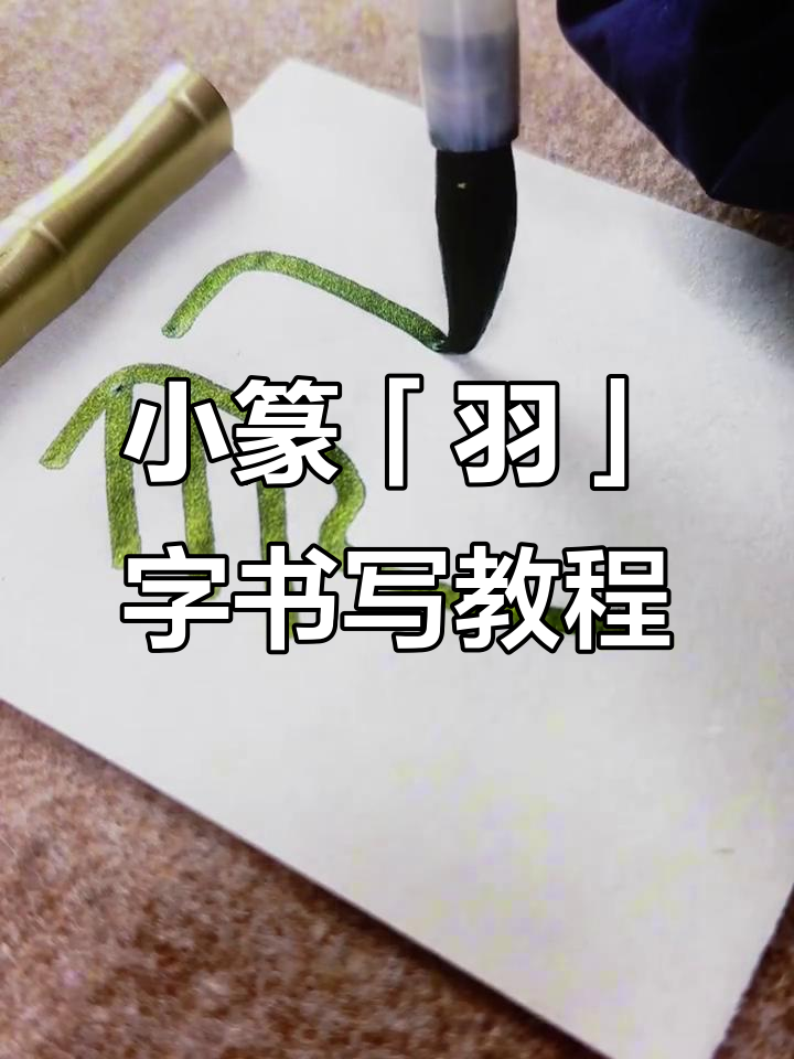 篆书「羽」字写法解析,轻松掌握小篆技巧