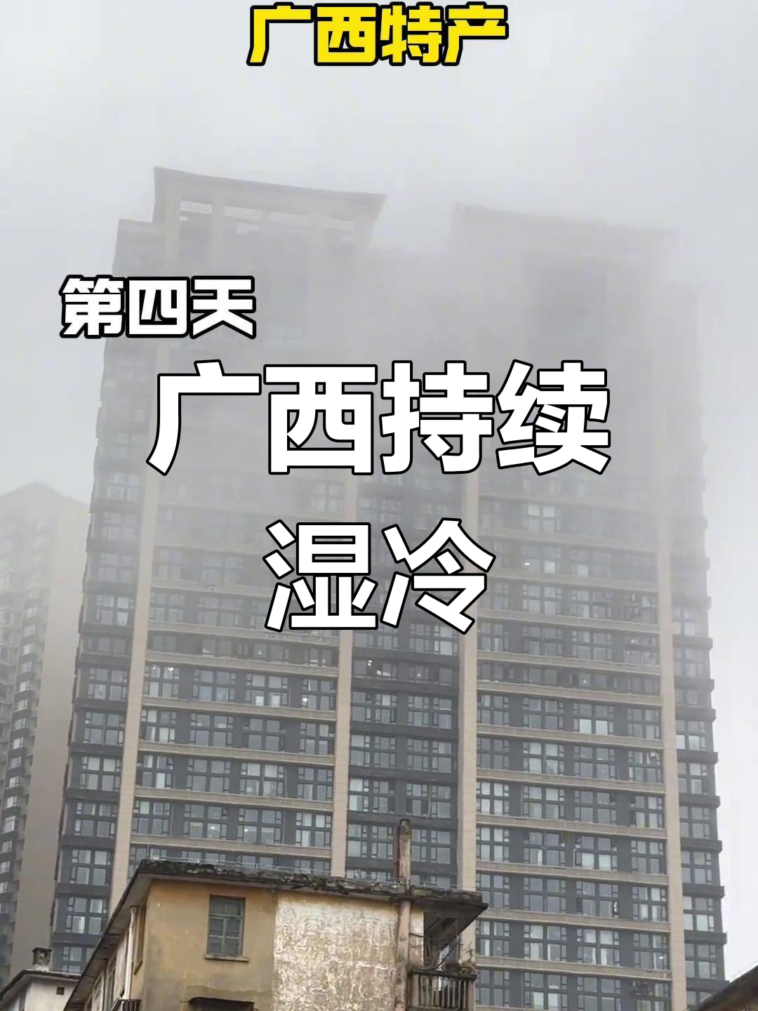 岑溪天气天气大全