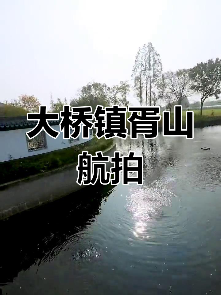 穿越嘉兴大桥镇胥山村,航拍美丽乡村风光