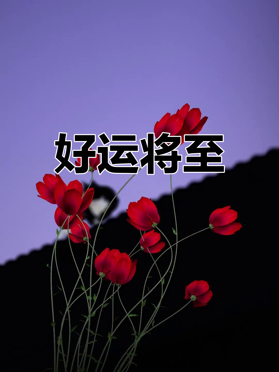 霉运已过,好运连连!动态壁纸治愈心灵