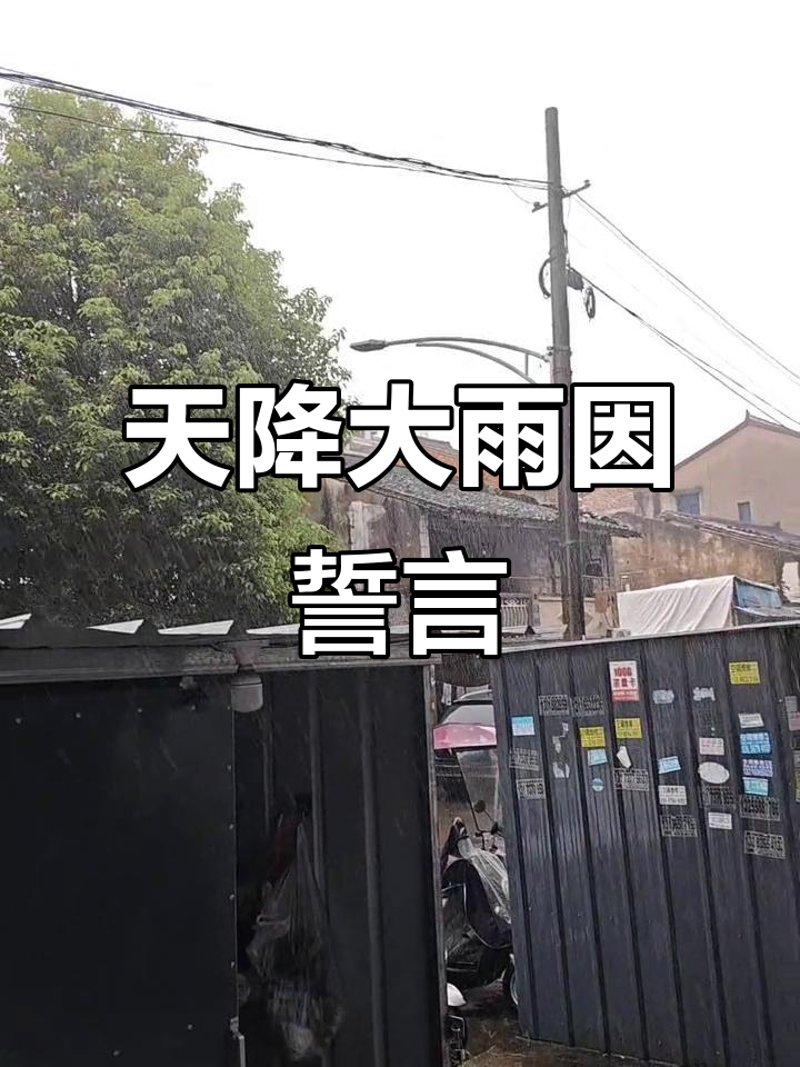 今日温岭天气预报
