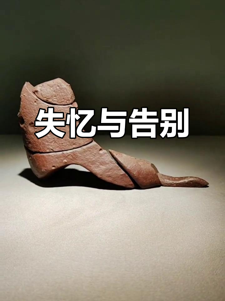 离别后的失忆,记忆中的遗憾