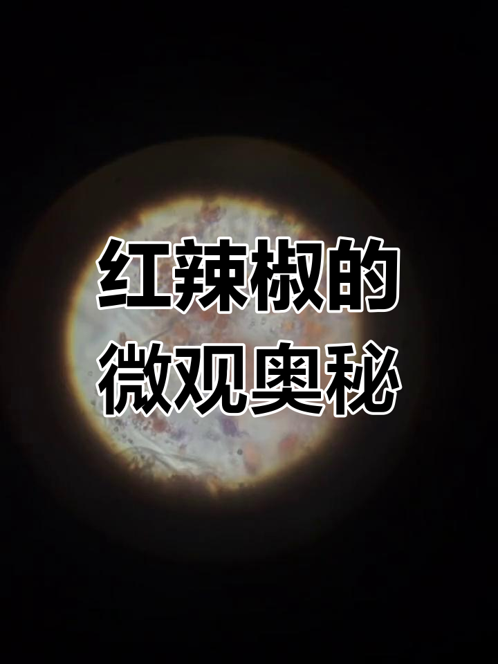 显微镜下的红辣椒,细胞世界揭秘