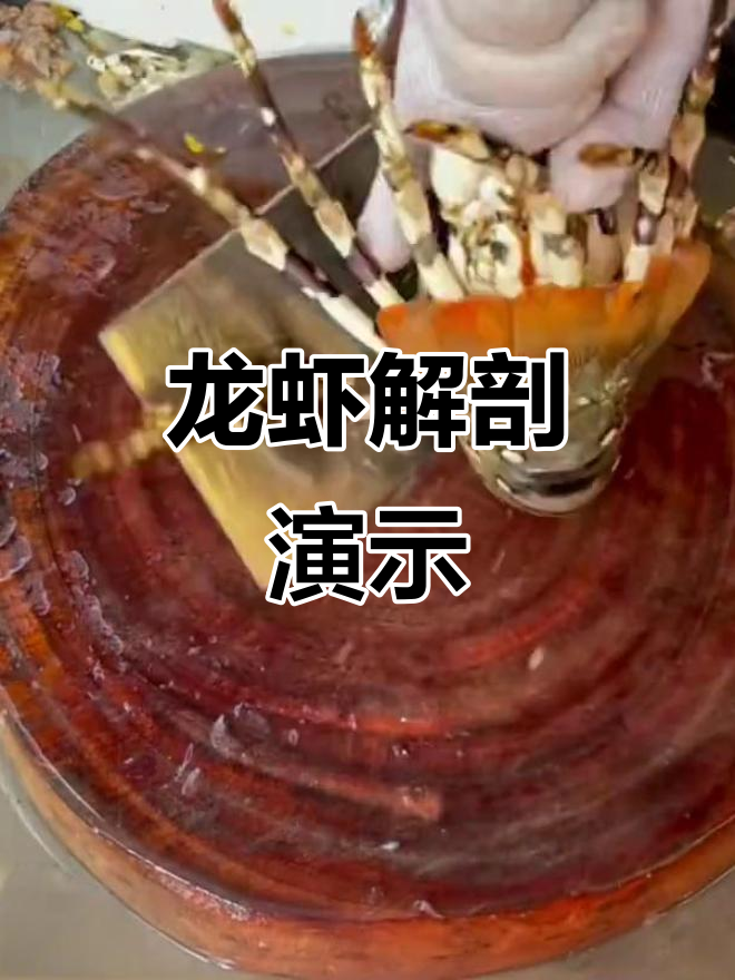 龙虾分解技巧大揭秘,手法超熟练!