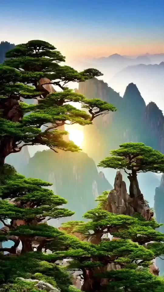 黄山迎客松 迎客松屹立千年,广迎天下客,迎客松是黄山的代表,更是中国