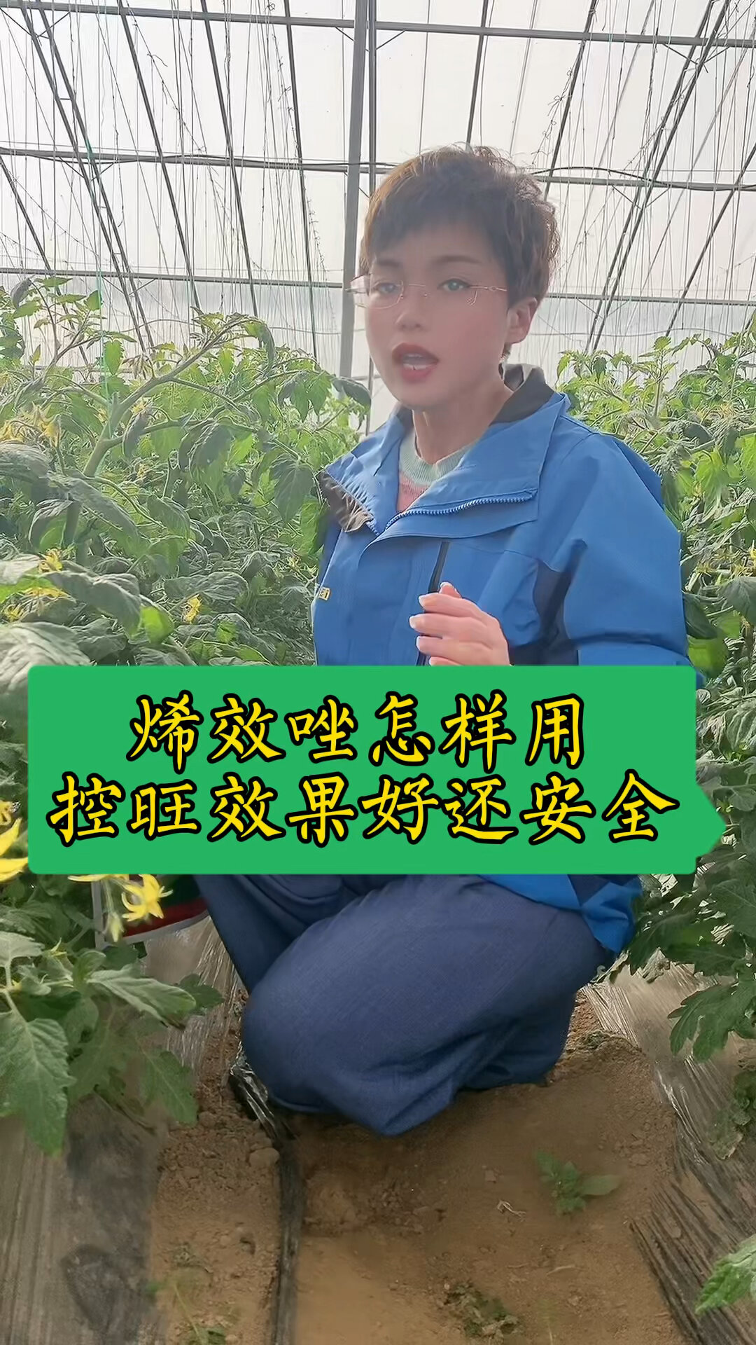 烯效唑怎么用控旺效果好?还更加安全