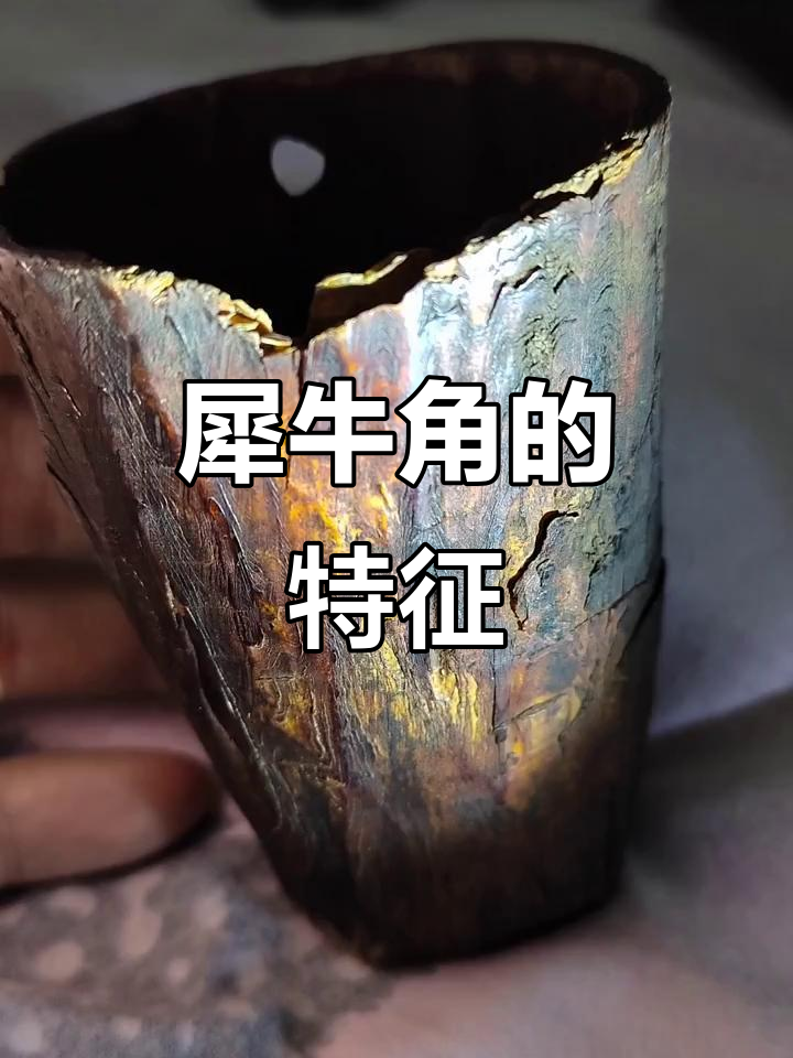 犀牛角独特,层叠纹理如竹丝,色泽黄润