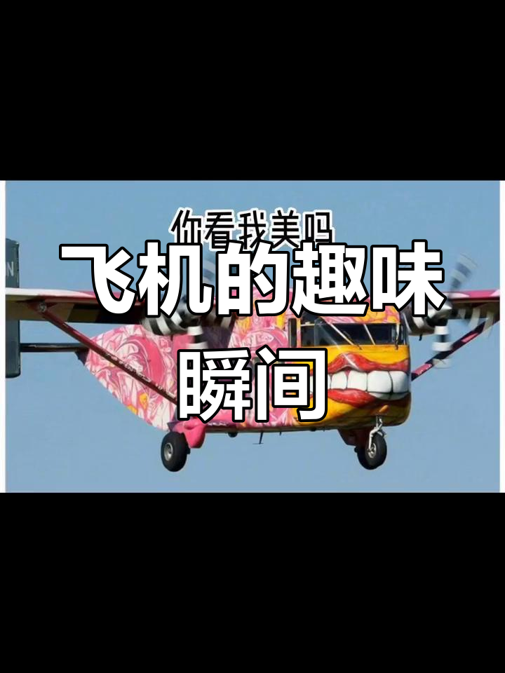 飞机搞笑图片大集合,笑到不行!