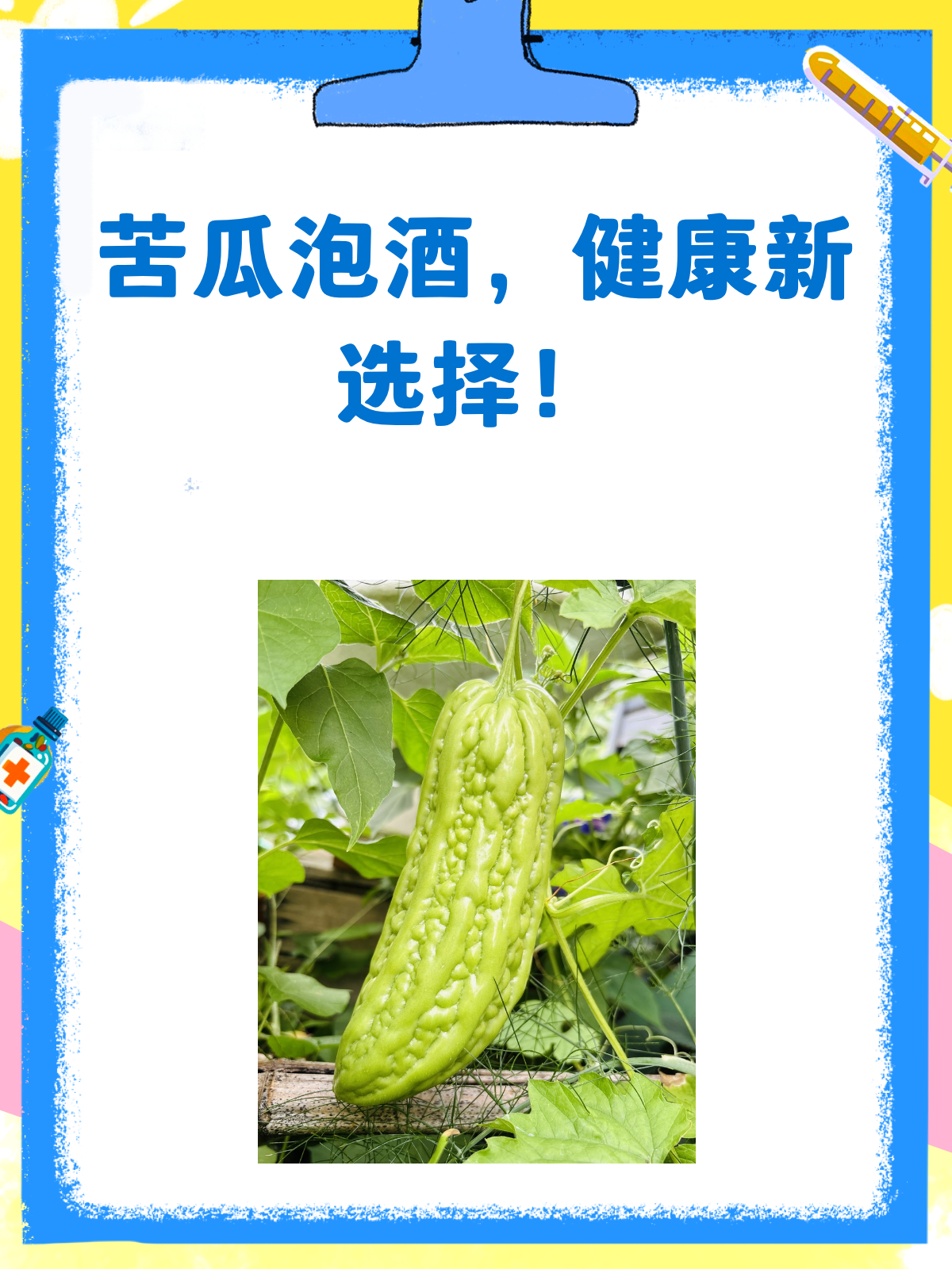 苦瓜泡酒,竟然有这些神奇功效?