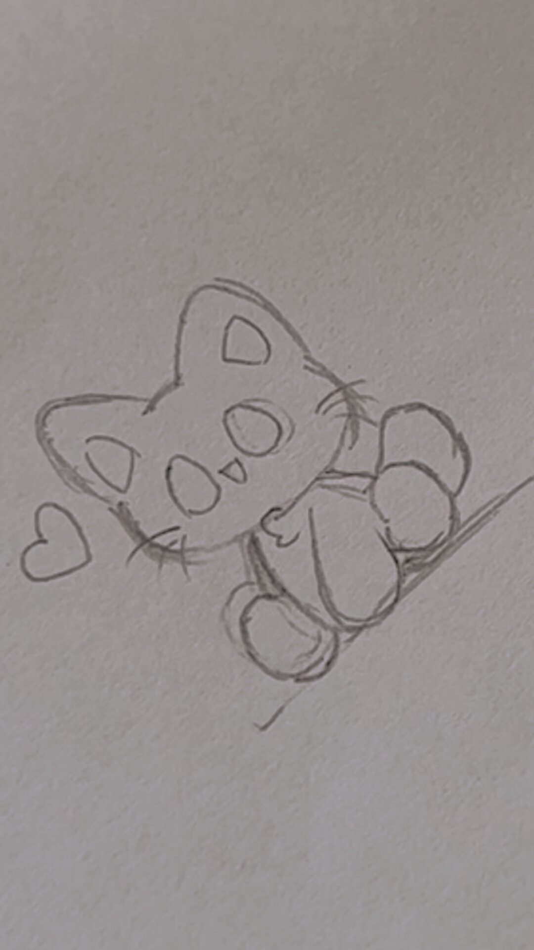 三花猫绘画过程