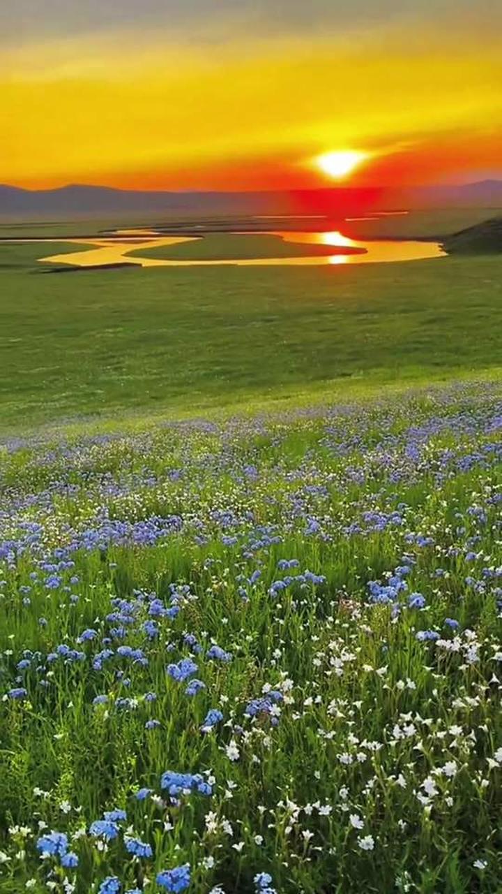 让我们在草原最美的季节来一场相遇