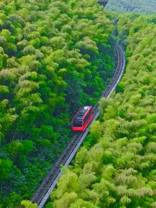 南山竹海地轨缆车图片