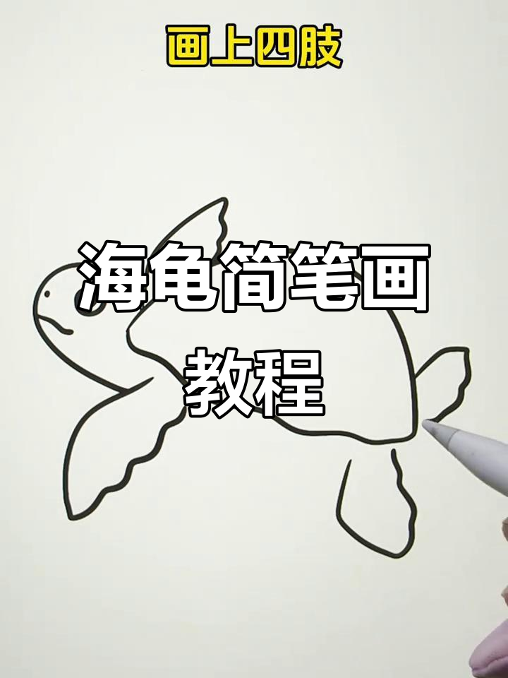 小动物简易画法